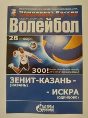 Волейбол. Динамо-Таттрансгаз Казань - Искра Одинцово 28 января 2009