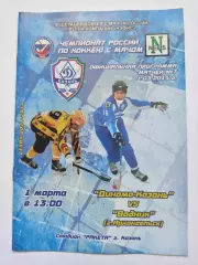 Хоккей с мячом. Динамо Казань - Водник Архангельск 1 марта 2014