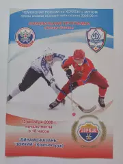 Хоккей с мячом. Динамо Казань - Зоркий Красногорск 12 декабря 2008