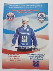 Хоккей с мячом. Динамо Казань - Сибсельмаш Новосибирск 4 марта 2009