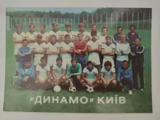 Открытка. Футбол. Динамо Киев - Чемпион СССР 1981 (размер 15/10 см)