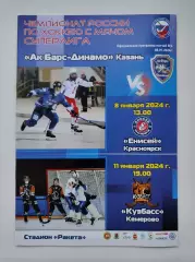 Хоккей с мячом. Динамо Казань - Енисей Красноярск Кузбасс Кемерово 8/11.01 2024