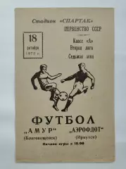 Амур Благовещенск - Аэрофлот Иркутск 1972
