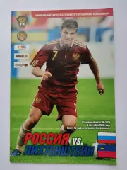 Санкт-Петербург. Россия - Лихтенштейн 2009 Отбор.ЧМ (М1)