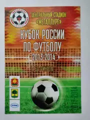 Металлург Липецк - Сокол Саратов 2013 Кубок России (М1)
