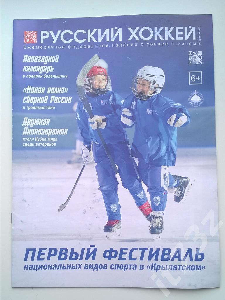 Хоккей с мячом. Русский хоккей. 2017 январь