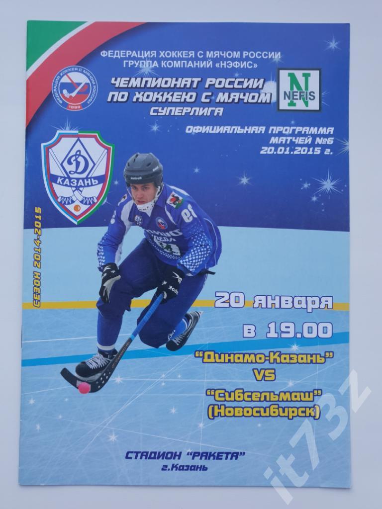 Хоккей с мячом. Динамо Казань - Сибсельмаш Новосибирск. 20 января 2015
