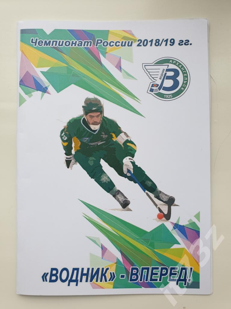 Хоккей с мячом. Водник Архангельск - Сибсельмаш Новосибирск 25 ноября 2018 (VIP)