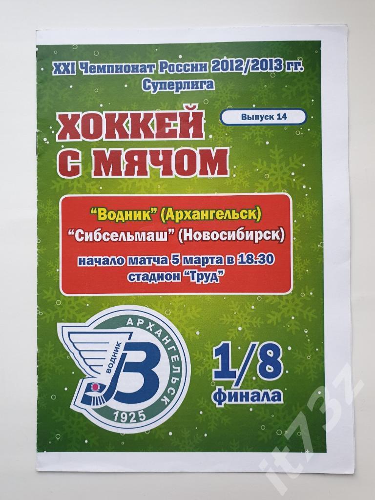 Хоккей с мячом Водник Архангельск - Сибсельмаш Новосибирск 5 марта 2013 плей-офф