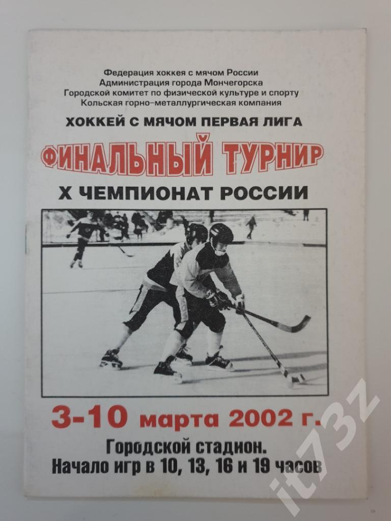 Хоккей с мячом Мончегорск 2002 Финал 1 лиги (Саратов,Иркутск..все уч-ки на фото)