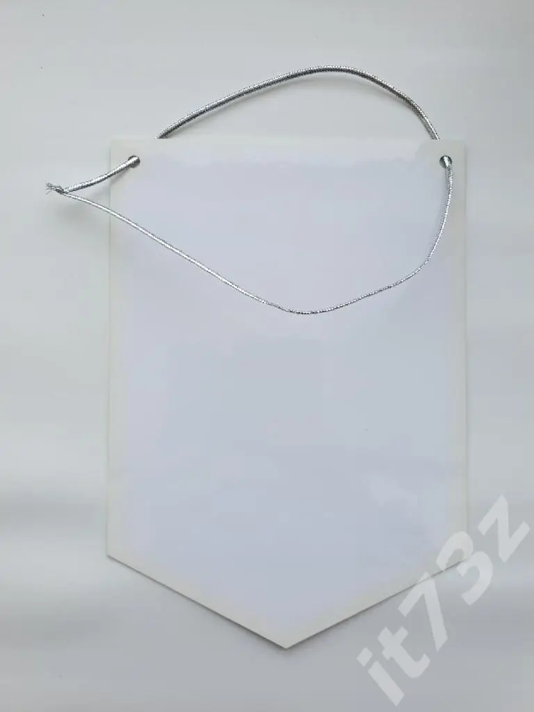 Вымпел. Хоккей с мячом. Локомотив Оренбург 2006/07 (размер 19х13,5 см) 1