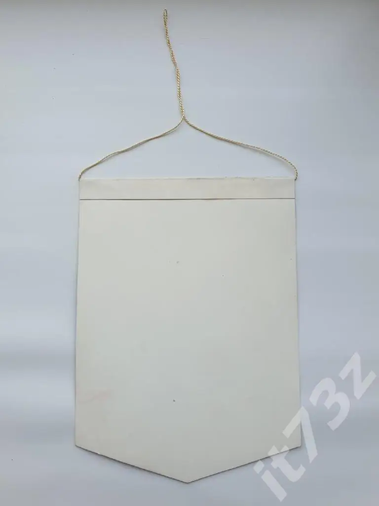 Вымпел. Хоккей с мячом. Знамя-Удмуртия Воткинск (размер 19х14 см) 1