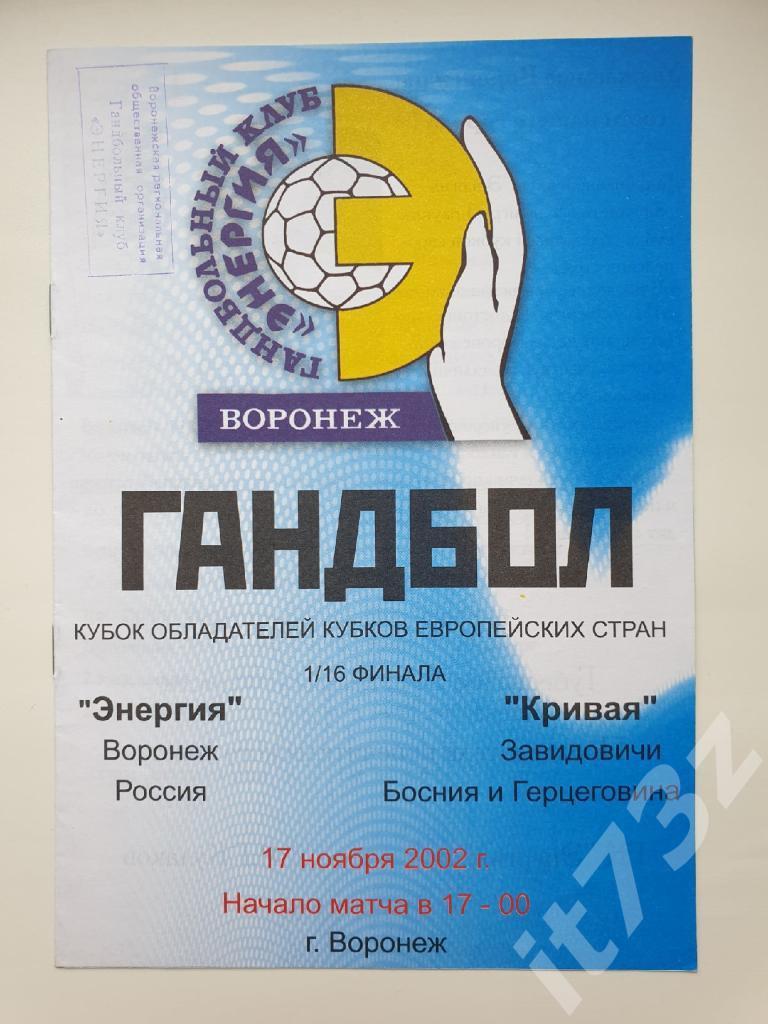 Гандбол. Энергия Воронеж - Кривая Завидовичи Босния. 2002 Кубок Кубков