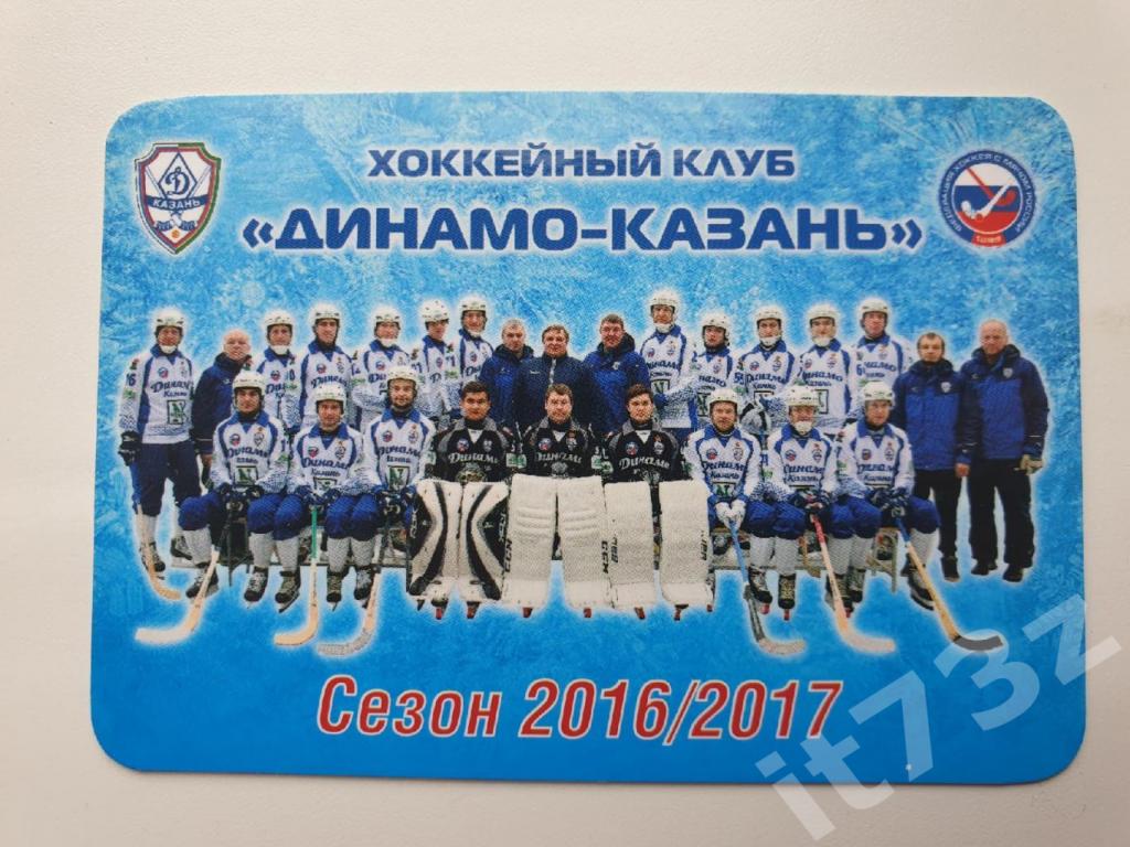 Хоккей с мячом. Динамо Казань сезон 2016/17 (10/6 см)