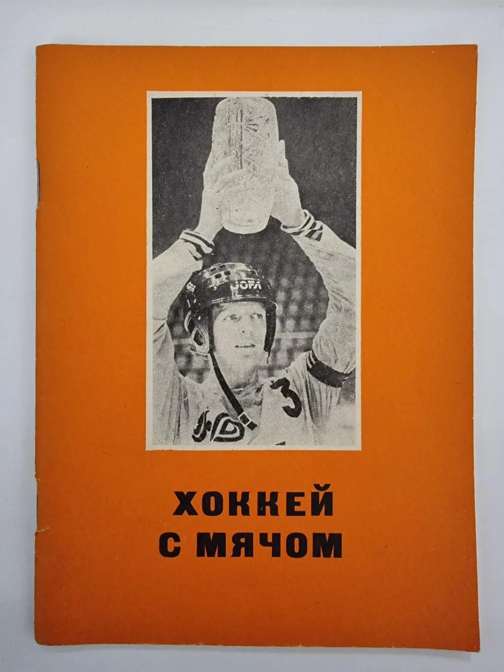 Хоккей с мячом. Омск 1989/90 (72 страницы)