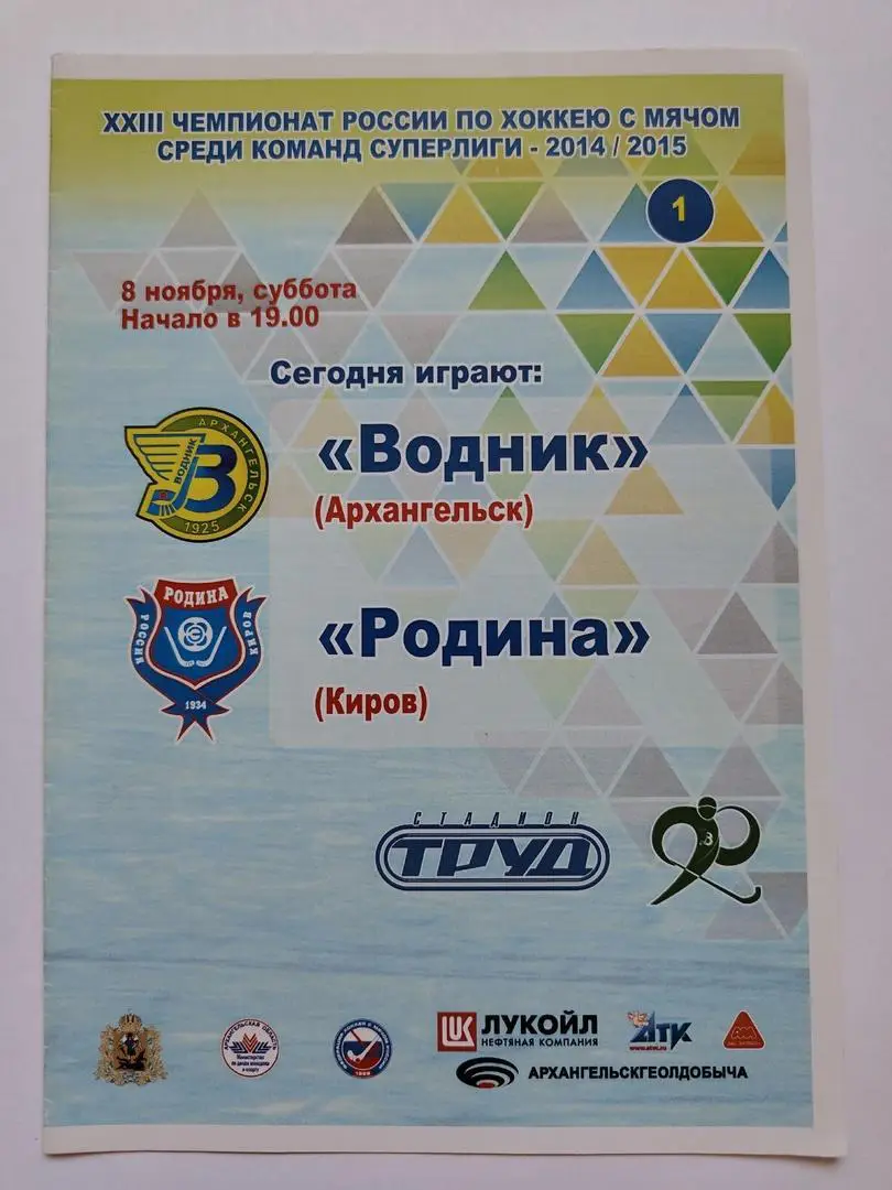 Хоккей с мячом. Водник Архангельск - Родина Киров 8 ноября 2014