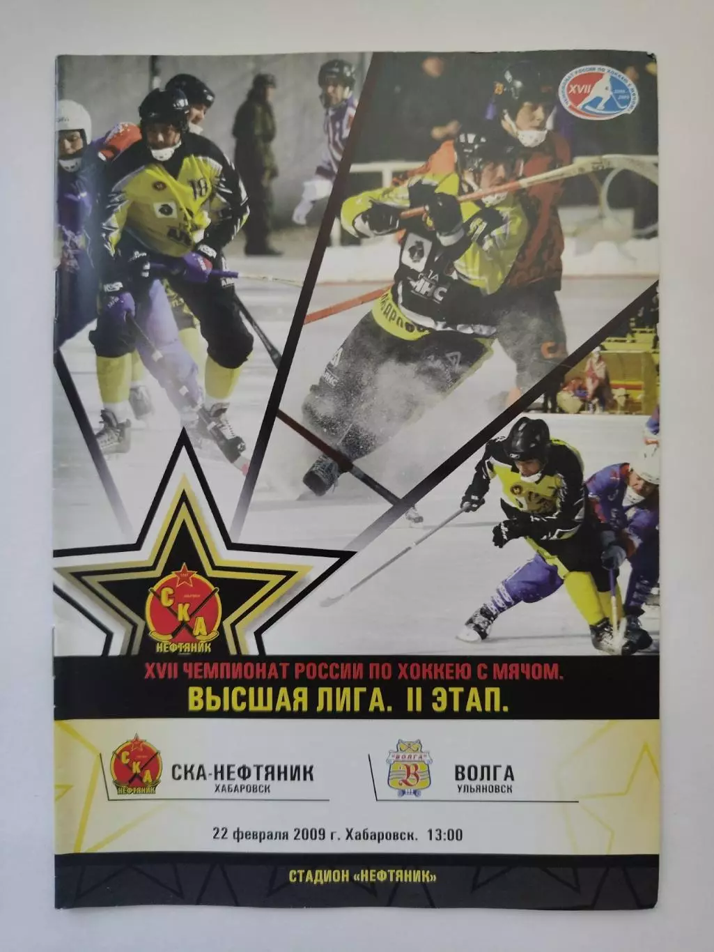 Хоккей с мячом. СКА-Нефтяник Хабаровск - Волга Ульяновск 22 февраля 2009