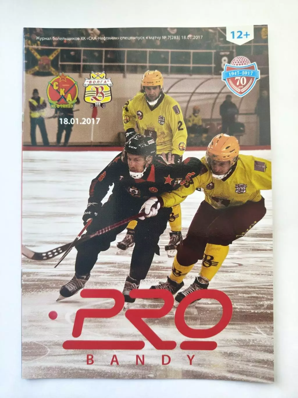 Хоккей с мячом. СКА-Нефтяник Хабаровск - Волга Ульяновск 18 января 2017