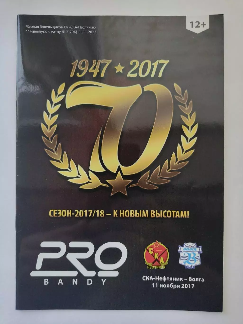 Хоккей с мячом. СКА-Нефтяник Хабаровск - Волга Ульяновск 11 ноября 2017