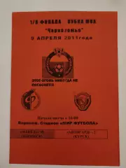 Факел-М Воронеж - Авангард-2 Курск 2011 Кубок МОА Черноземье