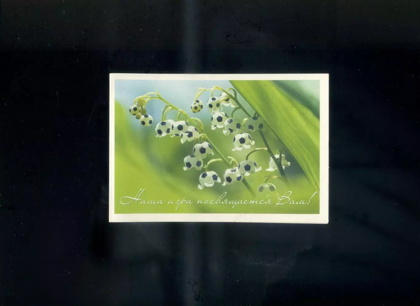 Шахтер Донецк - Поздравительная Открытка