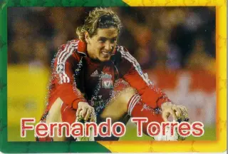 Календарик 2010 - Фернандо Торрес Испания Ливерпуль Англия