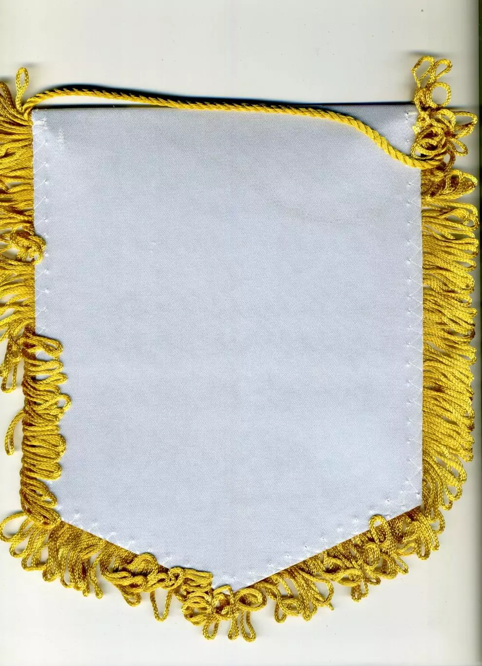 Вымпел Спартак Москва - Порто Порту Португалия 2011 - Лига Европы 1