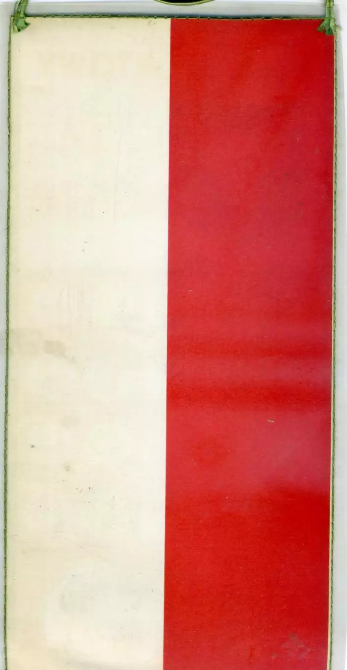 Вымпел РОВ Рыбник Польша - Pennant KS ROW Rybnik Poland Polska 1974 - 1975 2