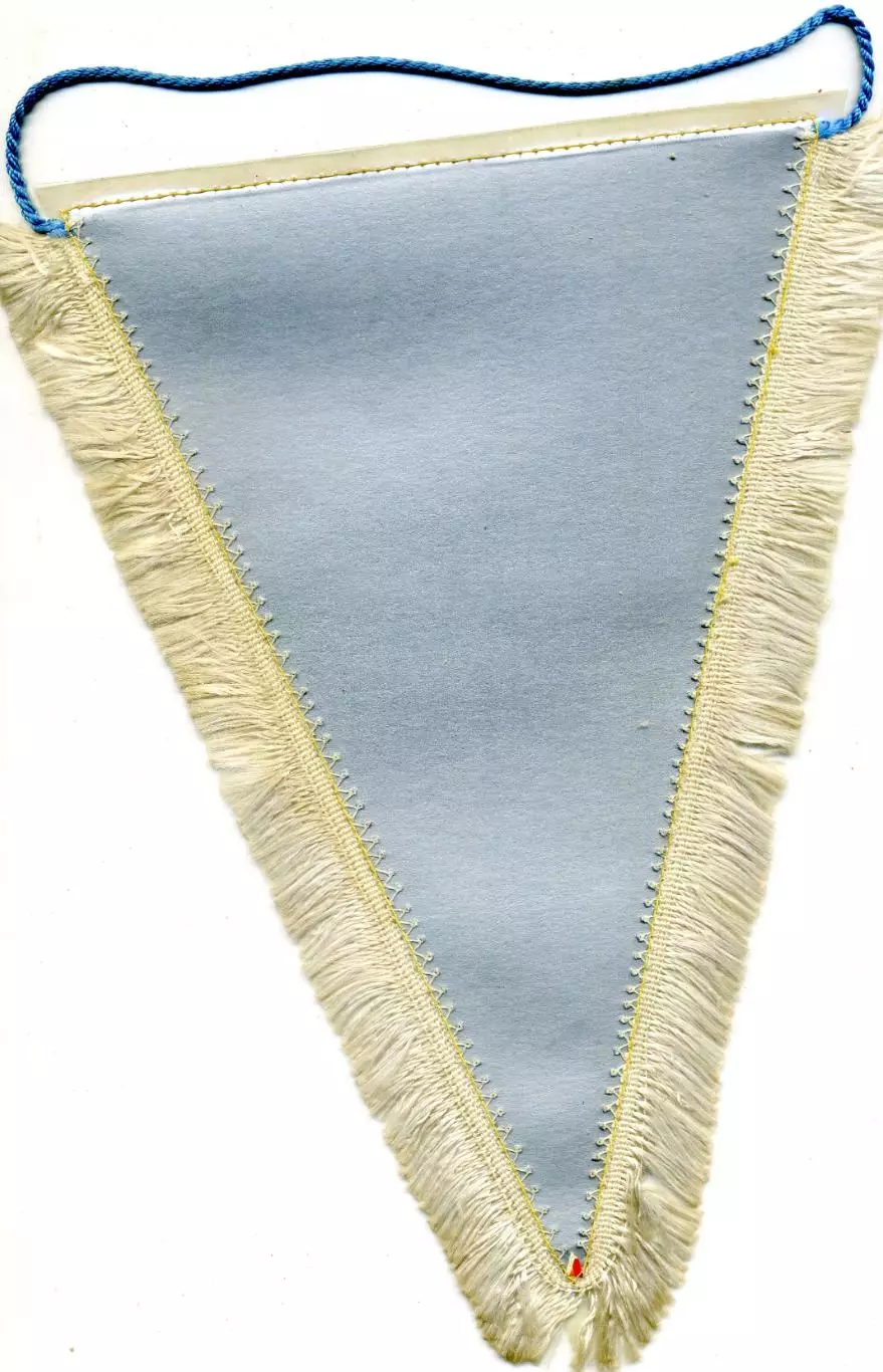 Вымпел Кёльн Германия 1