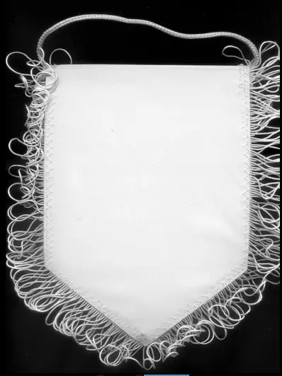 Вымпел Шахтер Донецк - Зенит Санкт-Петербург 2011 - Лига Чемпионов 1