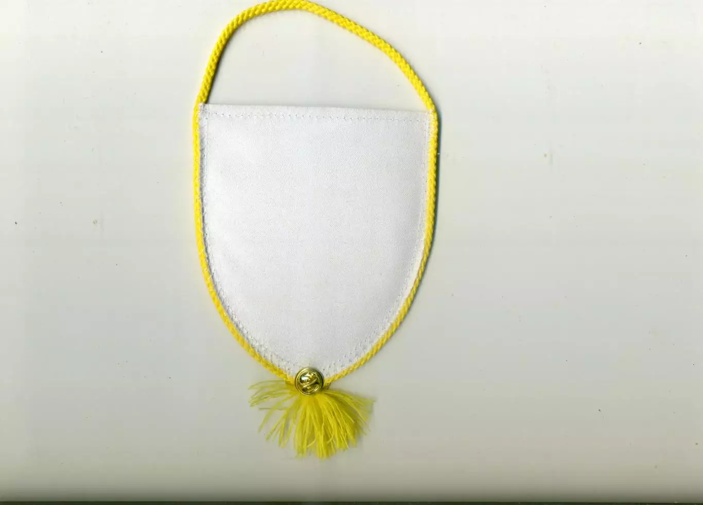 Беларусь Федерация Футбола - вымпел + знак 1