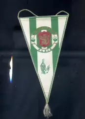 Вымпел Карпаты Львов