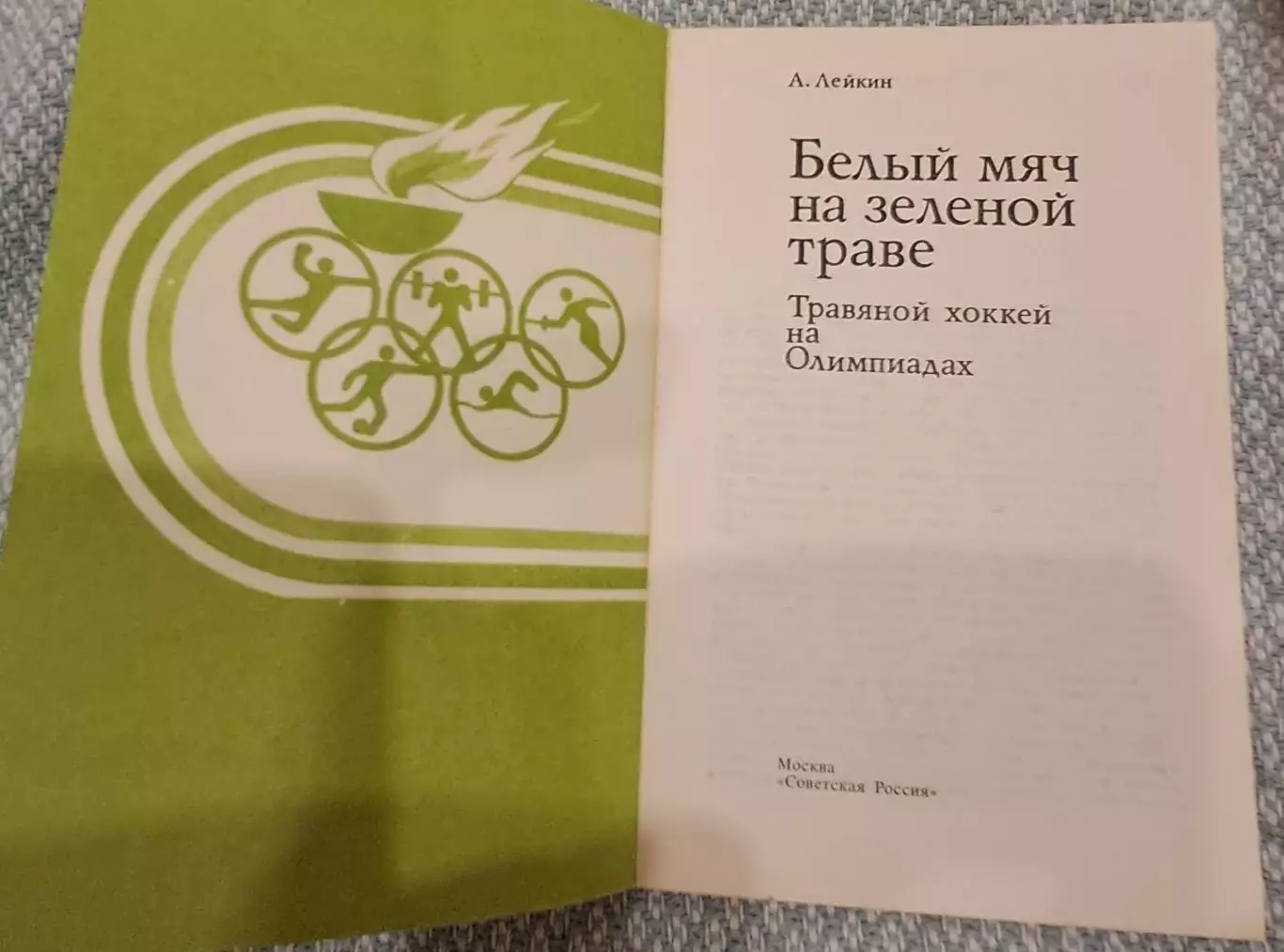 А. Лейкин. Белый мяч на зеленой траве 1