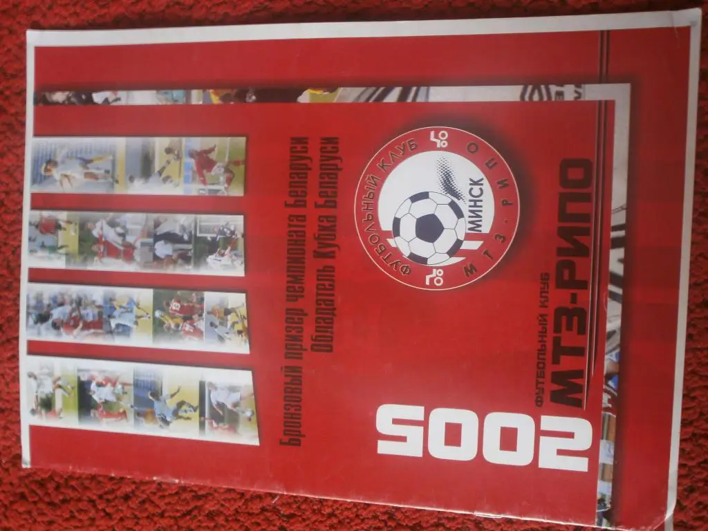 МТЗ-РИПО - Бронзовый призёр чемпионата Беларуси. Обладатель Кубка