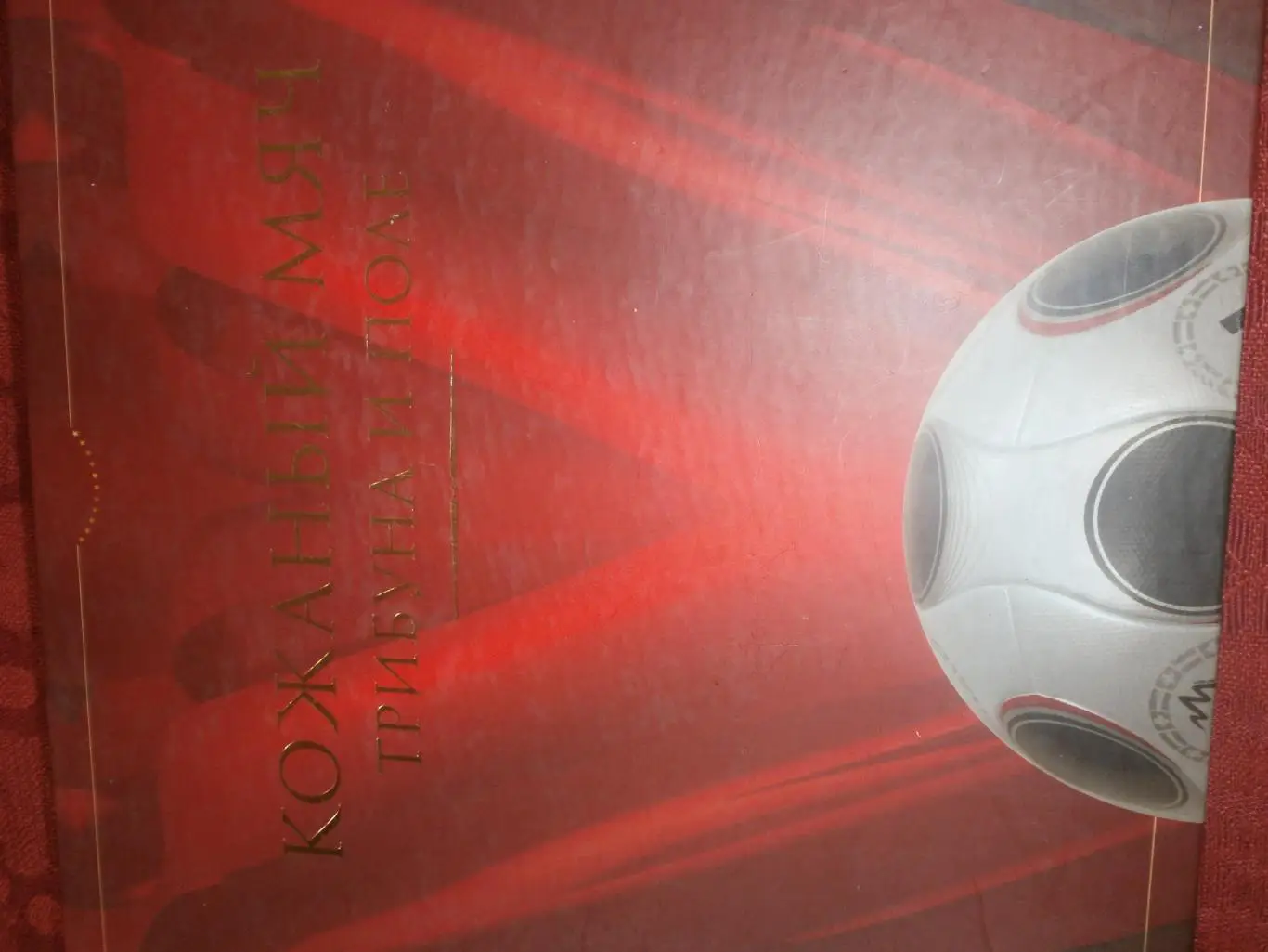 И Рогожников Кожаный мяч, трибуна и поле 192с. 2008г. Пермь