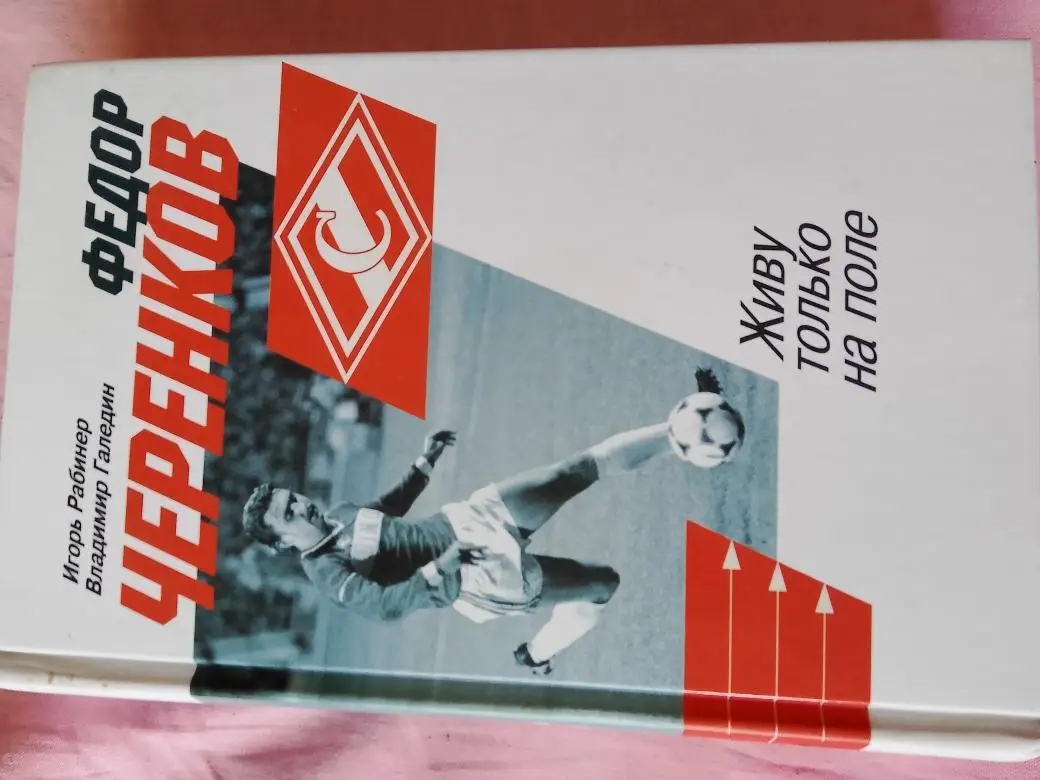 И.Рабинер Фёдор Черенков. Живу только на поле 482с. 2019г.