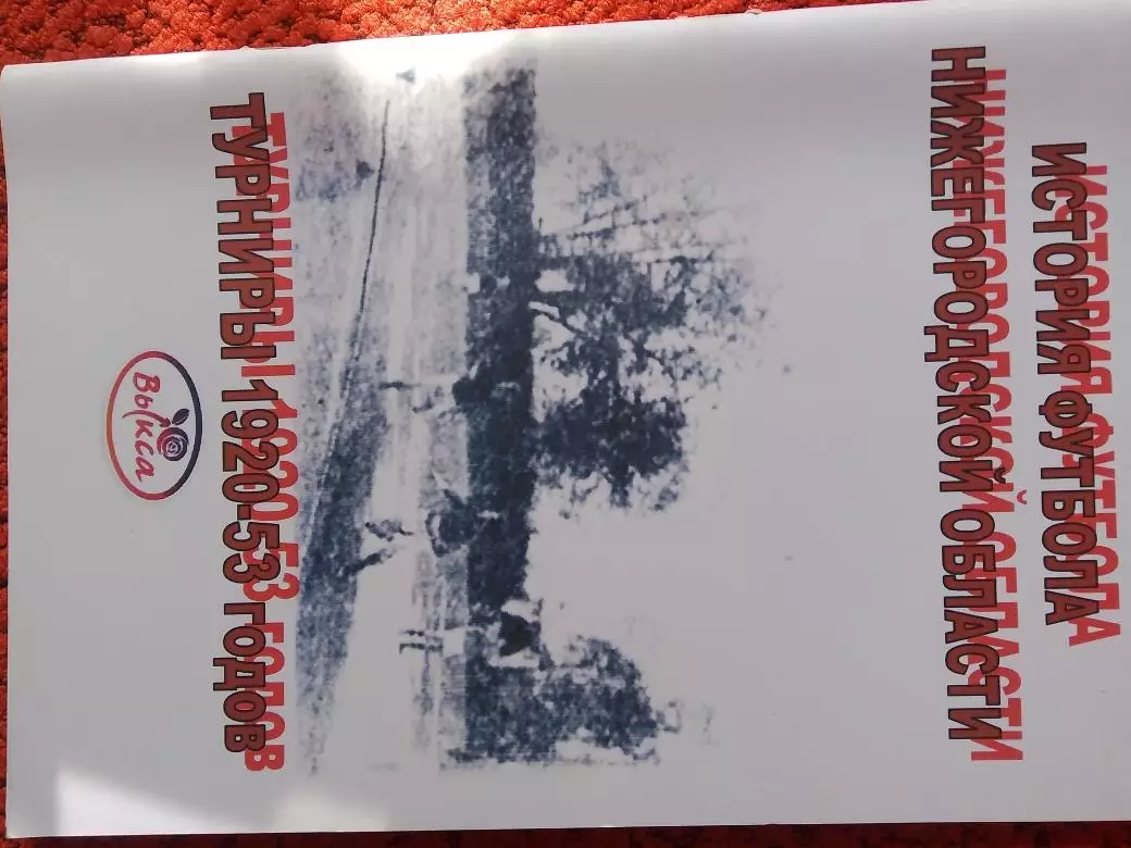 Календарь - справочник Выкса 2010г