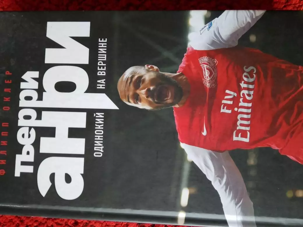 Терри Анри Одинокий на вершине 510с. 2018г.