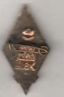 значoк футбол клуб эмблема ФК Динамо г.Киев 1