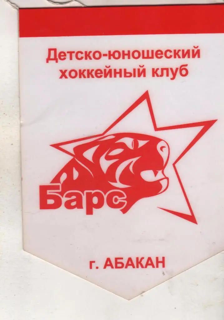 вымпел хоккей с шайбой детско-юнош. хоккейный клуб Барс г.Абакан (фирменный)
