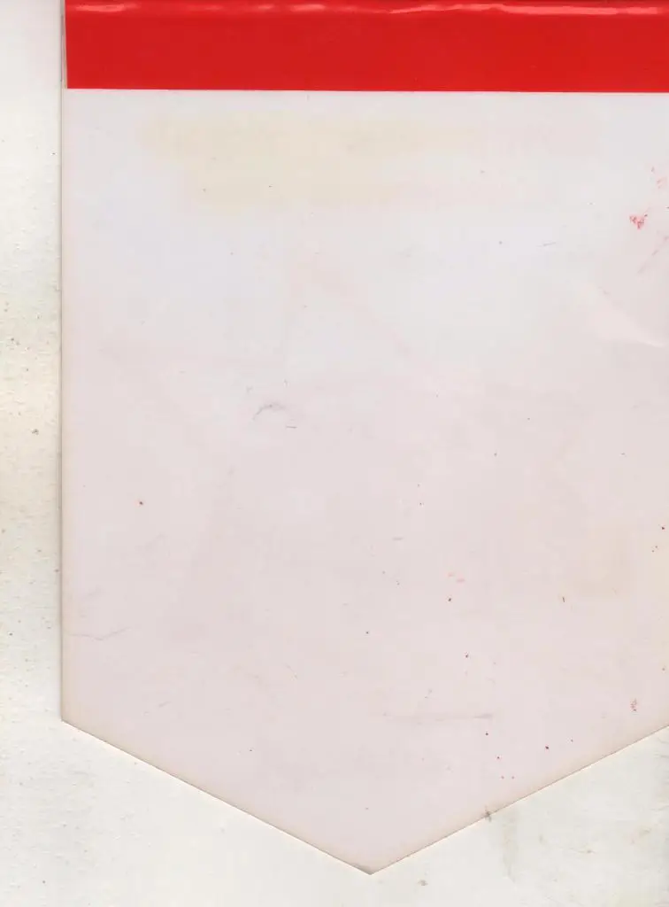 вымпел хоккей с шайбой детско-юнош. хоккейный клуб Барс г.Абакан (фирменный) 1