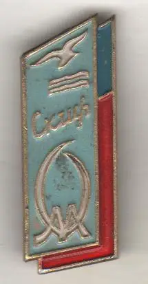 значoк футбол клуб СК СКИФ спортивный клуб института физкультуры г.Московская