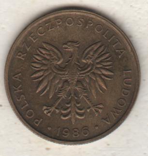 монеты 5 злотых Польша 1986г. (не чищеная) не магнитится 1