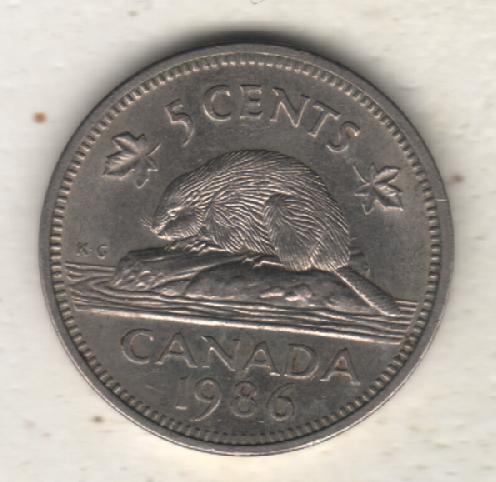 монеты 5 центов Канада 1986г. (не чищеная) не магнитится