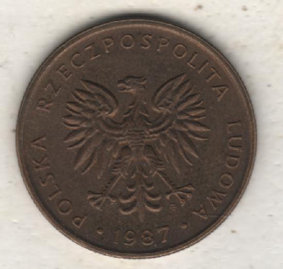 монеты 5 злотых Польша 1987г. (не чищеная) не магнитится 1