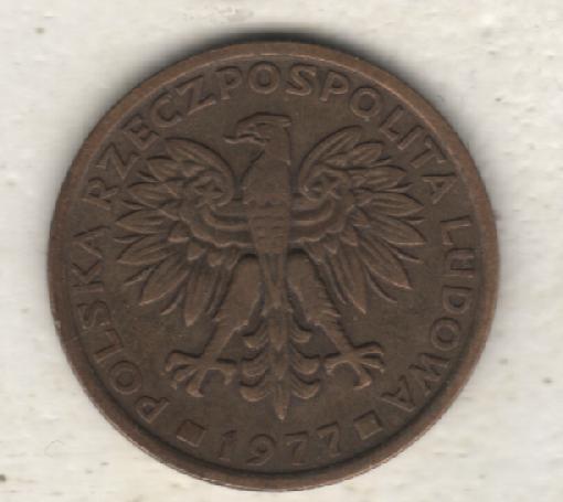 монеты 2 злотых Польша 1977г. (не чищеная) не магнитится 1