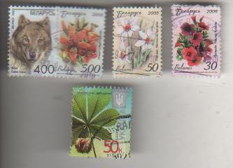 марки цветы петуния 50руб. Белоруссия 2008г. Б/У