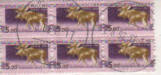 марки фауна лось 5 рублей стандарт Россия 2008г. Б/У 6 марок сцепка