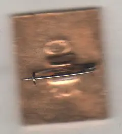 значoк туризм турбаза Бухта радости д.Сорокино, Мытищинский район 1