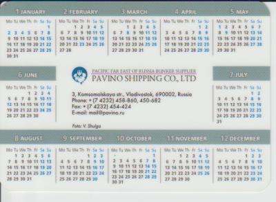 календарик пластик флот Дальневосточное морское пароходство г.Владивосток 2006г. 1